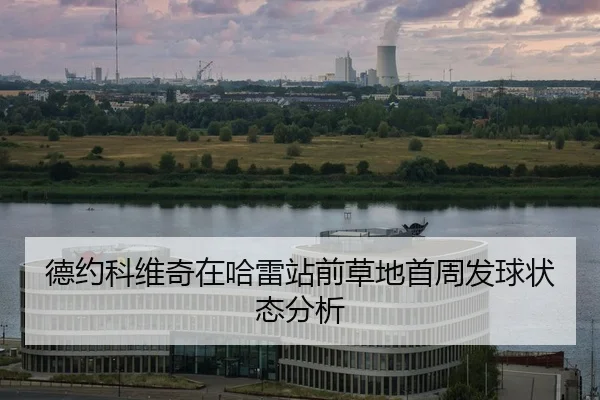 de-yue-ke-wei-qi-zai-ha-lei-zhan-qian-cao-di-shou-zhou-fa-qiu-zhuang-tai-fen-xi-2-190.jpg