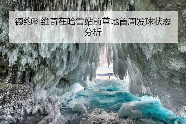 德约科维奇在哈雷站前草地首周发球状态分析